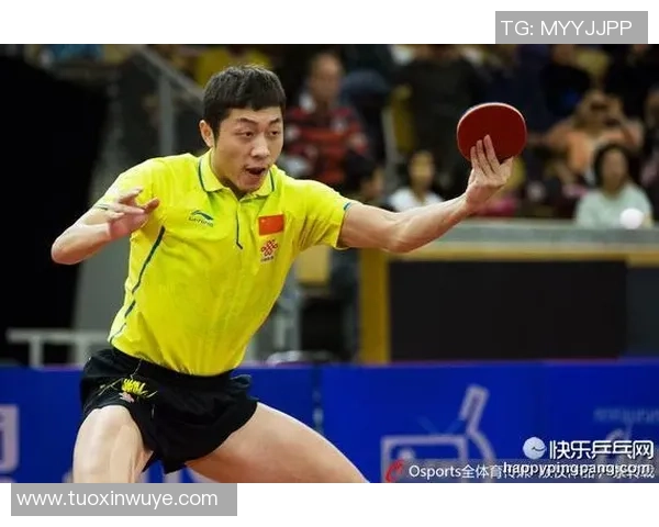 乒乓球战术探讨：深入分析杭州乒乓球队的区域防守策略与技巧